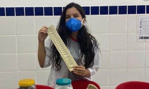 Estudante brasileira está entre os 10 melhores do mundo