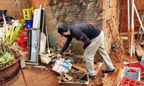 COM BAIXA INFESTAÇÃO E MÉTODO WOLBACHIA, CAMPO GRANDE É DESTAQUE NACIONAL NO COMBATE AO AEDES