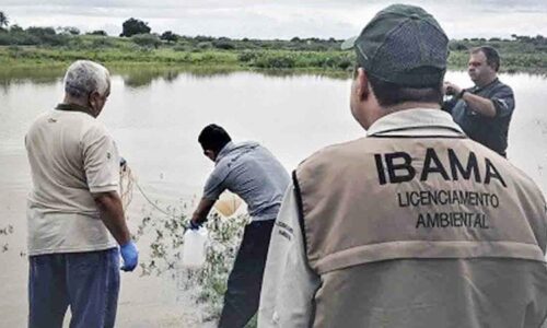 CONCURSO IBAMA 2021 TEM 568 VAGAS E SALÁRIOS DE ATÉ R$ 8,5 MIL