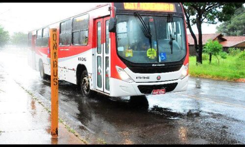 Greve do transporte público preocupa comércio da capital