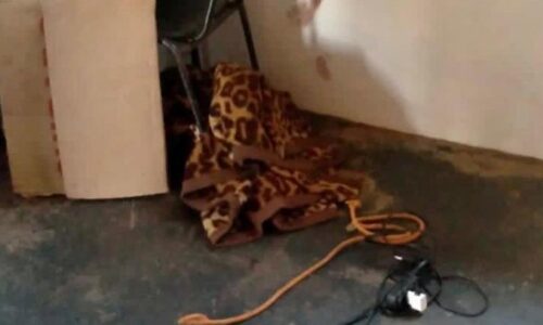 Guarda é agredido e amarrado durante assalto em casa de eventos de MS