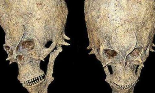 Misteriosos crânios alienígenas encontrados na África poderão mudar a história humana!