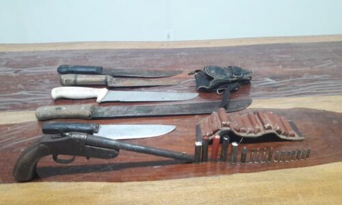 Idoso é preso após matar cachorro a facadas e descartar o animal em rio