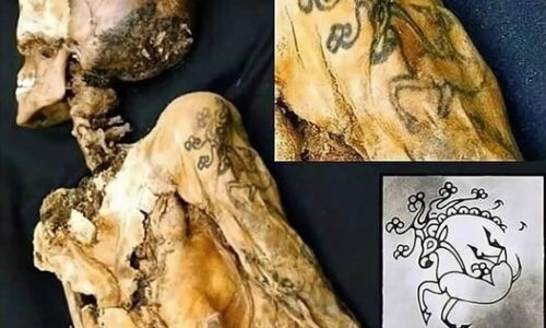 Dama de Gelo: a múmia siberiana com tatuagens de 6 mil anos em seu esqueleto