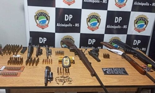 Polícia Civil cumpre mandado de busca e apreensão em Alcinópolis