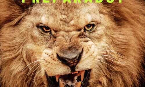 Com mais de 65 anos, preciso declarar o Imposto de Renda?