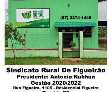 SINDICATO RURAL DE FIGUEIRÃO – CURSOS DO  MÊS DE JUNHO