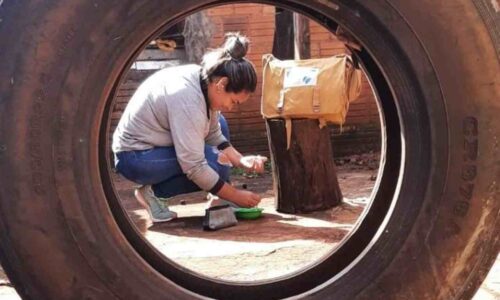 Mato Grosso do Sul tem 17 mortes e mais de 20 mil casos de dengue em 2022