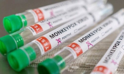 MS tem 87 casos confirmados de varíola dos macacos