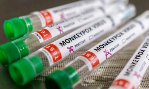 Anvisa aprova liberação de vacina e medicamento para tratar a varíola dos macacos