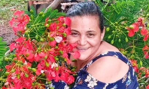 Homem mata ex, esfaqueia os filhos dela e joga carro contra caminhões na BR-163