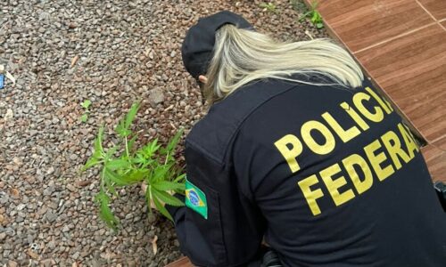 Polícia Federal detona esquema de tráfico por meio de carros de aplicativos