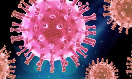 São Paulo registra dois casos da nova variante de Covid-19