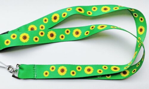 Cordão do Girassol, para identificação de deficiências ocultas, vira lei em Mato Grosso do Sul