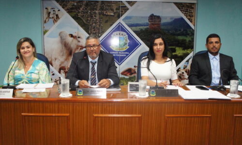 Câmara retoma atividades em 2023