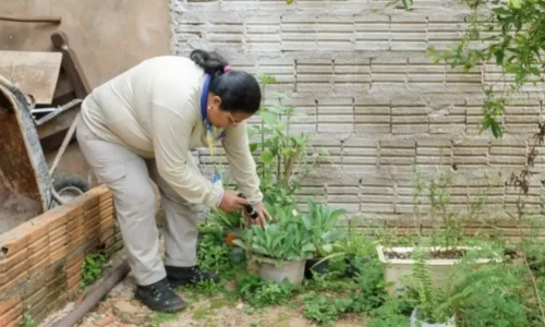 Sobe para 26 o número de municípios do Estado com alta incidência para a dengue