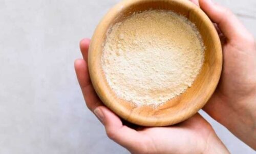 Bolinho de grilo: a nova tendência em alimentação saudável e ecológica