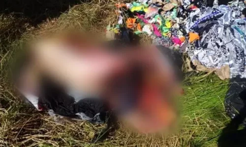 Mulher diz que esquartejou marido como “porco… fria e sem sentimentos”