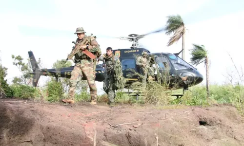 Brasil e Paraguai iniciam 38ª Operação Nova Aliança contra roças de maconha