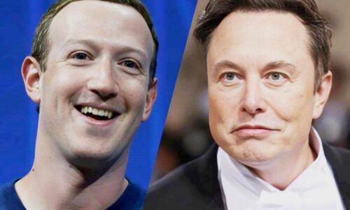 Elon Musk e Mark Zuckerberg aceitam se enfrentar em luta livre