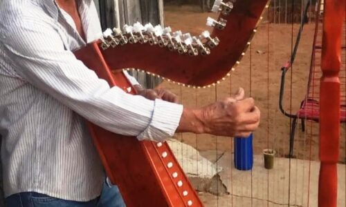 Homem constrói harpa com tronco de árvore e aprende sozinho a tocar instrumento em MS