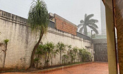 Temporal que derrubou telhados e árvores em Campo Grande teve ventos de 52 km e volume de 46 mm