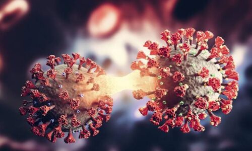 Covid-19 mata quatro por semana em Mato Grosso do Sul