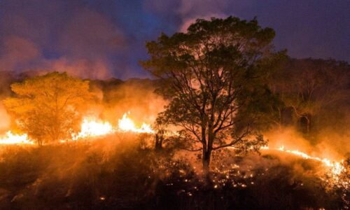 Pantanal e Cerrado têm maior número de incêndios desde 1988