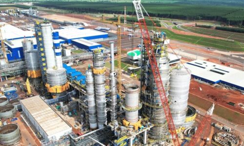 Autora de calote atrasa ativação de megafábrica de celulose