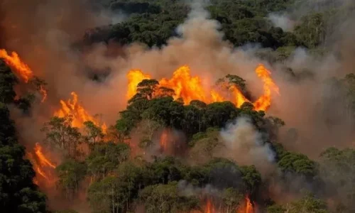 Sob Lula e Marina, Amazônia registra os maiores picos de incêndio do século