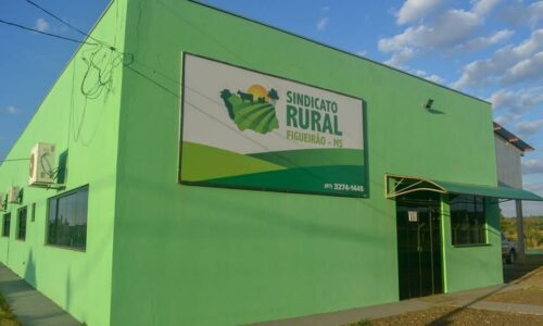 Empreendedorismo: Feira de Produtoras no Sindicato Rural de Figueirão