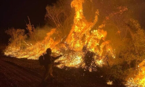 Incêndios florestais levam MS a decretar situação de emergência 