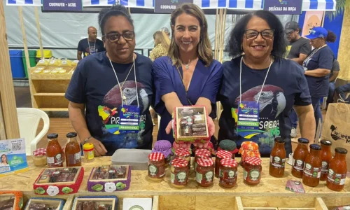 Prospera MS transforma o campo em vitrine de talento, sabor e sustentabilidade