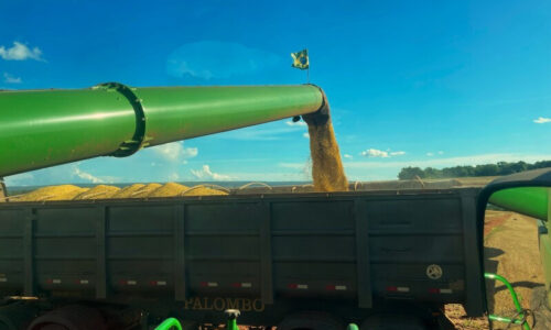 Mato Grosso do Sul deve colher safra recorde com 28,7 milhões de toneladas de grãos