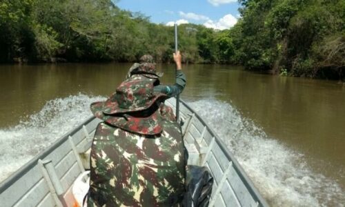 Defeso da Piracema em Mato Grosso do Sul começa neste sábado (1º) no Rio Paraná