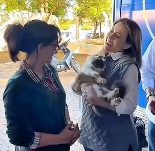 Com aporte de R$ 5 milhões da senadora Soraya Thronicke, Caravana da Castração já ajudou 13 mil animais; veja calendário