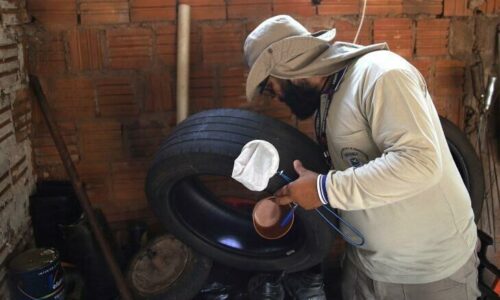 Com 7 casos prováveis em 14 dias, incidência de dengue sobe em Figueirão