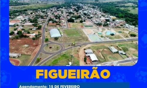 Caravana da Castração chega a Figueirão em fevereiro: Saiba como inscrever seu pet