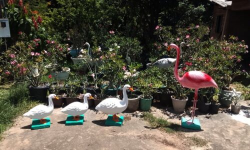 Mês da Mulher: Artesã de Figueirão transforma cimento em arte e encontra nova fonte de renda