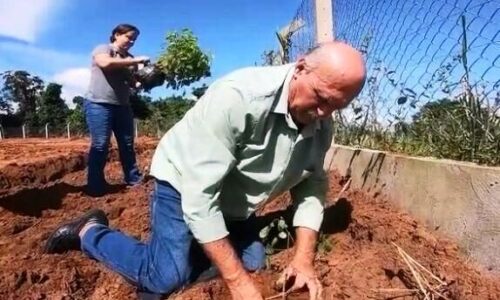 Figueirão reforça compromisso com o meio ambiente no Dia Internacional das Florestas