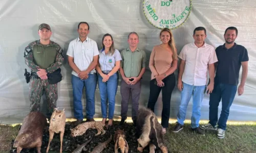 Ação ambiental em Figueirão reforça conscientização sobre preservação da fauna, flora e combate às queimadas