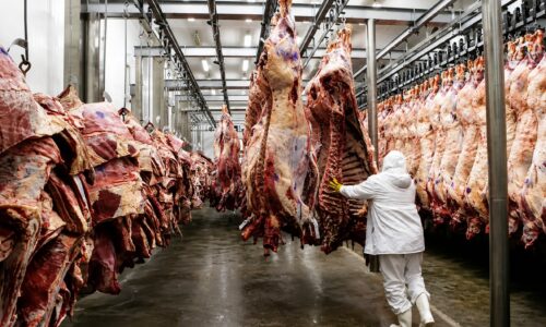 Tarifa dos EUA deve ter impacto limitado sobre exportações do agro de MS