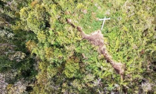 Chape volta ao local do acidente aéreo e homenageia vítimas 10 anos depois