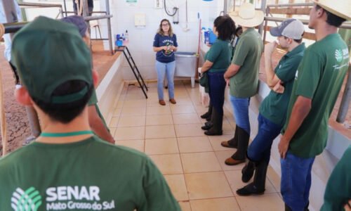 Senar abre seleção com salários de até R$ 5,4 mil em MS e inscrições vão até 9 de setembro