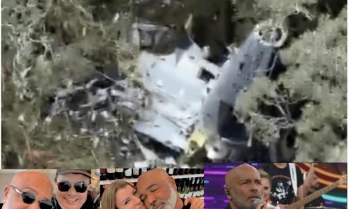 Cantor Rick e mais 4 morrem após queda de helicóptero em SC; destroços são encontrados
