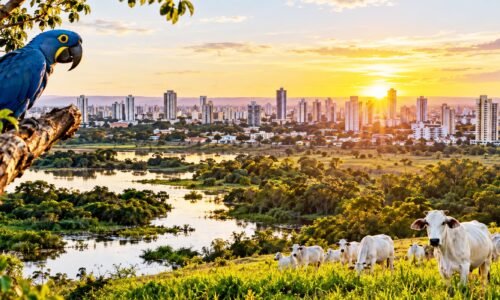 Mato Grosso do Sul completa 49 anos entre conquistas econômicas, riquezas naturais e desafios sociais